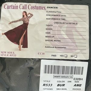 Curtain Call “New Soul” Dance Costume